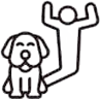 DogHaus Academy